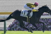 【競馬予想】第57回シンザン記念(GⅢ) /2023