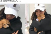【炎上】人気YouTuber、“消えた愛犬”の嘘を認め活動休止…「実家に預けている」との説明も嘘だった