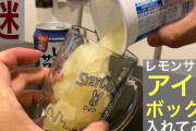 【画像】セブンイレブンにとんでもない氷が売ってるの見つけたんだが‥‥こんなんアル中は買うに決まってるやん