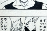【ドラゴンボール】悟空とベジータ、ただのチンピラみたいになってしまうｗｗｗ