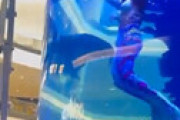【動画】 人魚ショーで女性が溺れて死にかける瞬間を捉えた衝撃動画が話題に・・