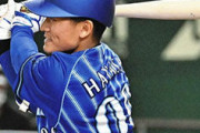 DeNA林琢真(23) 打率.144(69-10)0本 OPS.341 こいつがドラ3まで余ってたワケ