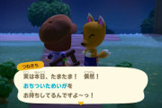【たぐいのほのぼの島日記】博物館に新要素追加！つねきちは信用できる？【あつ森】