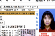 運転免許証←これ取らないと身分の証明すら難しくなるとかいうクソ仕様