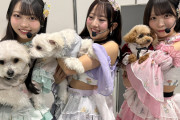 ぼくはSKEの犬になりたい