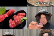【画像】YouTuberさん、ジャンボタニシの卵をイクラの軍艦巻きみたいにして食べてしまう…