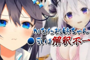 【にじさんじ】おしお家27憶事件に言及しつつも何だかんだで姉･天音かなたが大好きな妹･空星きらめ