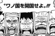 【ワンピース】新キャラ多すぎて、もう誰が何の役割なのか把握できなくて草