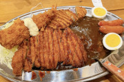 【画像あり】ゴーゴーゴーカレー美味すぎワロッタｗｗｗ