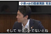 【動画】小泉進次郎、ガチで頭悪そうwwwwww