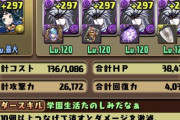 【パズドラ】すまん、今流行りのイナ徳川パってこれで合ってる？