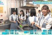 【日向坂46】うおおお！次回のひなあい、完全神回ｷﾀ━━━━(ﾟ∀ﾟ)━━━━!!