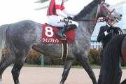 【香港Ｇ１・２勝】ウインブライトが蟻洞で引退危機