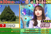 【乃木坂46】次回『ミラクル９』佐藤楓が出演決定！！！