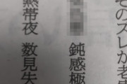 【ただの悪口】朝日新聞さん、靖国参拝する政治家（？）を「＊＊＊」と表現する読者川柳を掲載してしまう（画像あり）