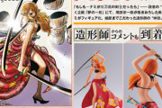 【画像】ナミさん、読者の夢のために『三刀流』の剣士にされてしまうｗｗｗｗ