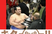 琴奨菊大関昇進 【当時の2chの反応】
