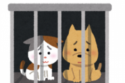ワイ「ネッコ飼うなら保健所からやな！」保健所「一人暮らしの方はご遠慮くださいね」←これ