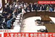 「難民申請中でも送還可能に」入管法改正案、成立へ　参院法務委で可決　辻?元清美「まだ、止められる。がんばる」