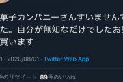 【にじさんじ】おやつカンパニーってベビースターだけの一発屋だし