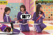 賀喜遥香ちゃんの猫に仲間もビックリｗ【乃木坂46】