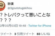 【悲報】漫画家「推しのVTuberがトレパクで炎上…？せやｯ！」