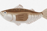 【悲報】日本人、魚を全く食べなくなる　年間魚介類消費量が22kgで過去最低に…調理の手間と円安による高騰が原因
