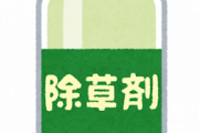 「木の葉が飛んできて庭の掃除が面倒」公園の欅のケヤキに穴開け除草剤注入してWECARSした男逮捕