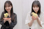 【乃木坂46】遠藤さくら×金川紗耶×ひよこ あらかわいい【らじらー！×IMAREAL】