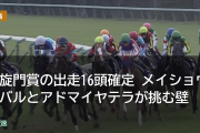 凱旋門賞の出走16頭確定 メイショウタバルとアドマイヤテラが挑む壁