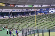 【悲報】プロ野球5月に延期が濃厚…夏の甲子園もヤバそう