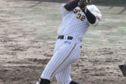 阪神・井上　2軍戦で2試合連発の先制2ラン　1軍での戦力へ躍動3安打
