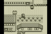 老害「昔のポケモンは本当に草むらから出てきそうな雰囲気があった」