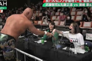 【悲報】松井珠理奈がプロレスファンから批判されてる