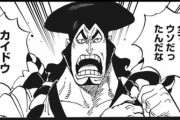 【正論】ルフィ「オレの勝ちだ！！」カイドウ「タイマンだったら絶対に勝ってたのに」