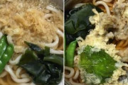 【画像】関西のうどん、白すぎる