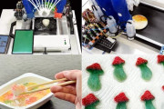 明治大学　飲食物の味と見た目をまったく別の味と見た目に変更できる装置を開発  [7/12]
