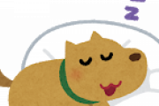 うちのバカ犬の寝相が悪いんだが
