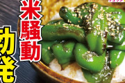 ピーマンとかいう誰も買わない野菜 ←お前ら食ってやれよ??