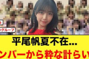 平尾帆夏不在でメンバーからの粋な計らいがコチラ【日向坂46】