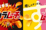 【悲報】湖池屋､一部製品を値上げ･内容量変更　｢カラムーチョ｣や｢The KOIKEYA｣など