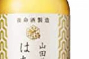 スカイリムにハマってハチミツ酒を飲む←こういうの