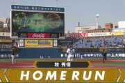 DeNA四番・牧秀悟、バックスクリーンに運ぶOP戦１号ソロホームラン！！