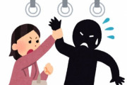 【悲報】電車内で女子高生に痴漢、リズム容疑者を逮捕