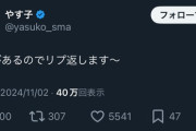 【速報】やす子さん、リプ返しを始めるも雑ｗｗｗｗｗｗｗｗｗｗｗｗｗｗｗ