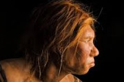 【驚愕】新型コロナが重症化する理由「ネアンデルタール人のDNA」か