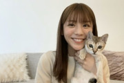 天気予報の女神・貴島明日香が”朝の安心”を届けられるようになるまで「猫が気持ちを明るくしてくれた」