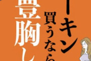 【画像】女さん、「バーキン買うなら豊胸しろ」の広告にブチギレてしまうｗｗｗ