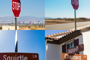 米ラスベガス近隣にポケモンの名前を付けたストリートが続々誕生、アメリカ人からは歓喜と困惑で分断される反応に