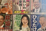 【画像】参政党の候補者さん、ポスターを破壊される……